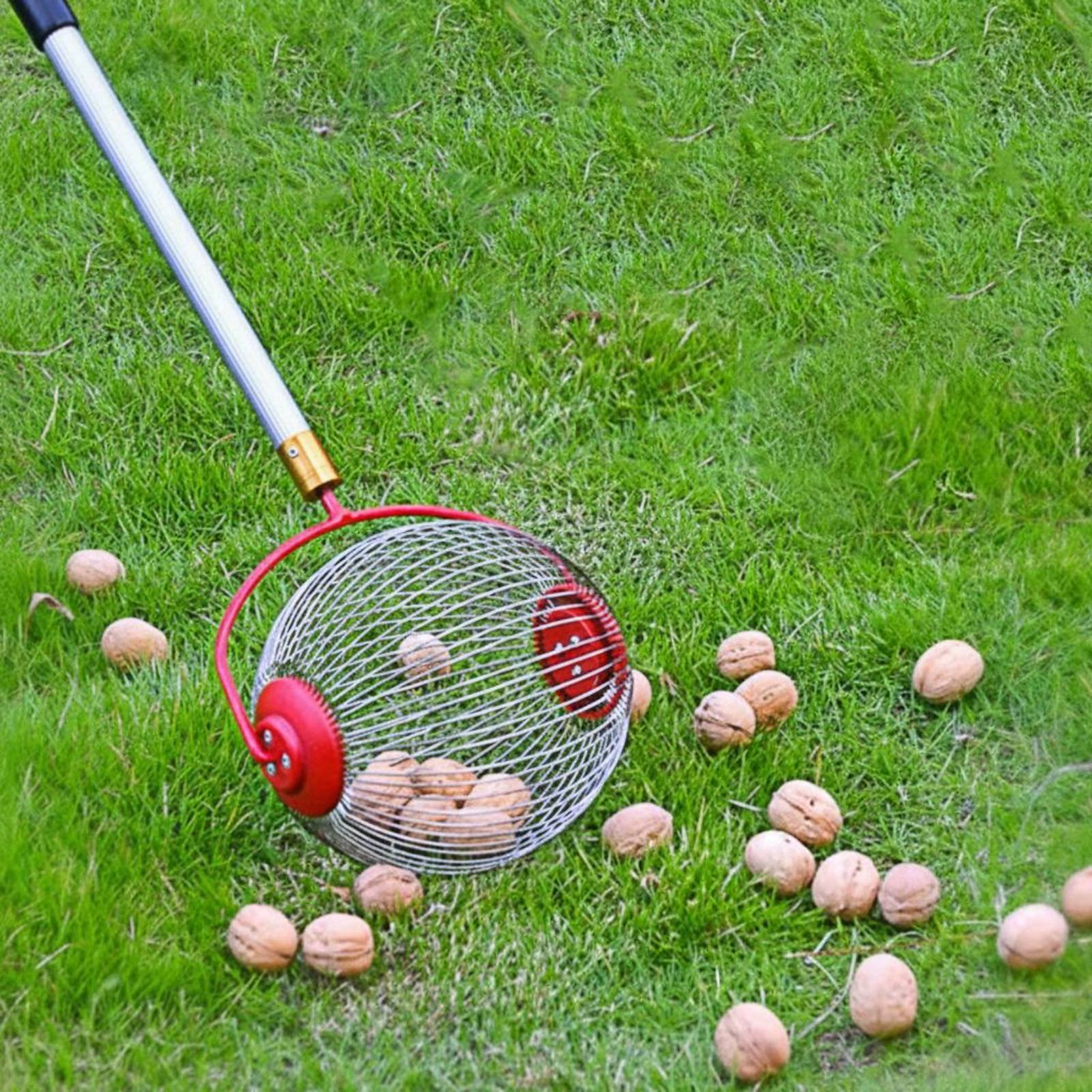 Gardening Tools Uses - Chestnut Pickup Tool Easy to Use