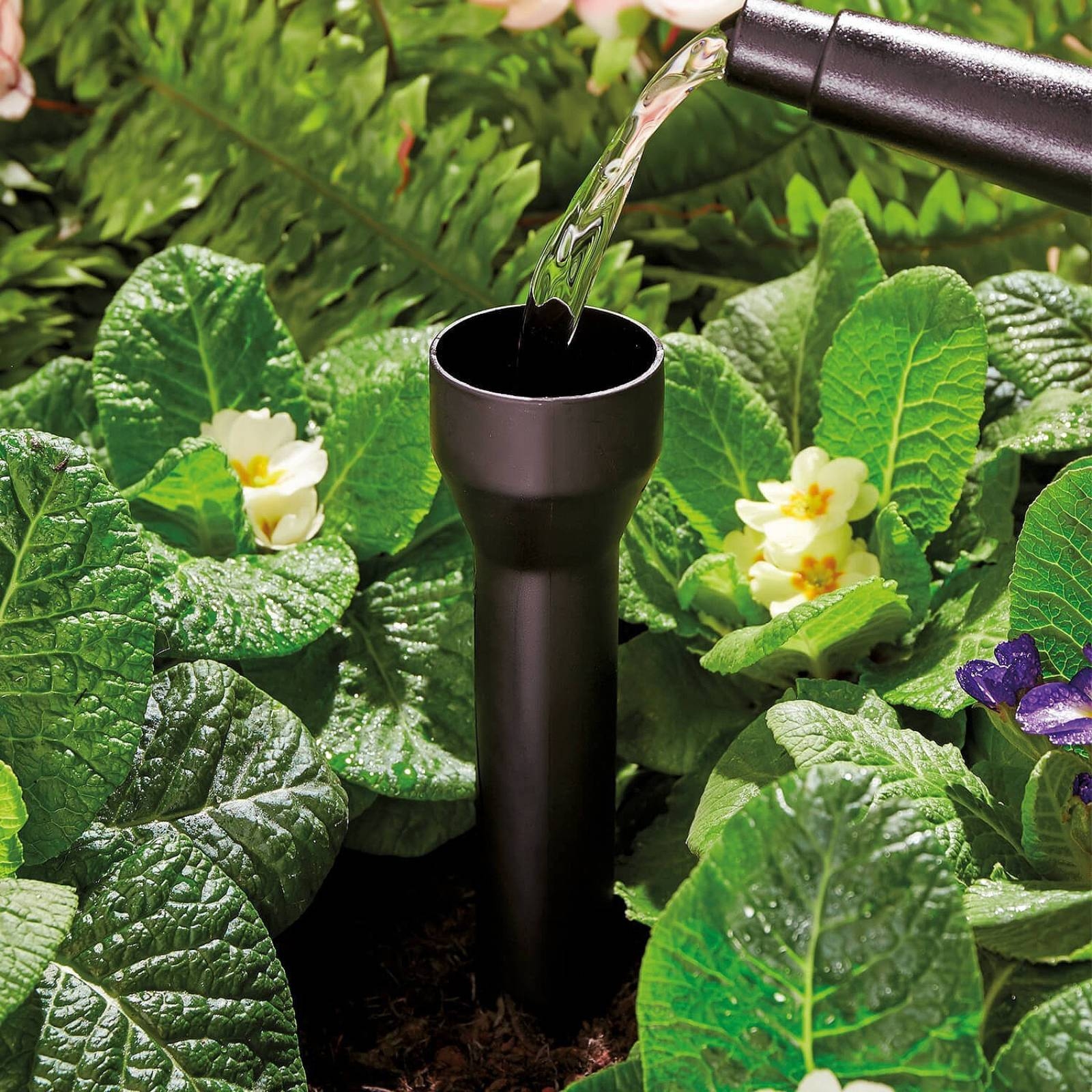 3 Pieces Root Watering Stake P - مراجعة Gardening Tools Uses وسعره