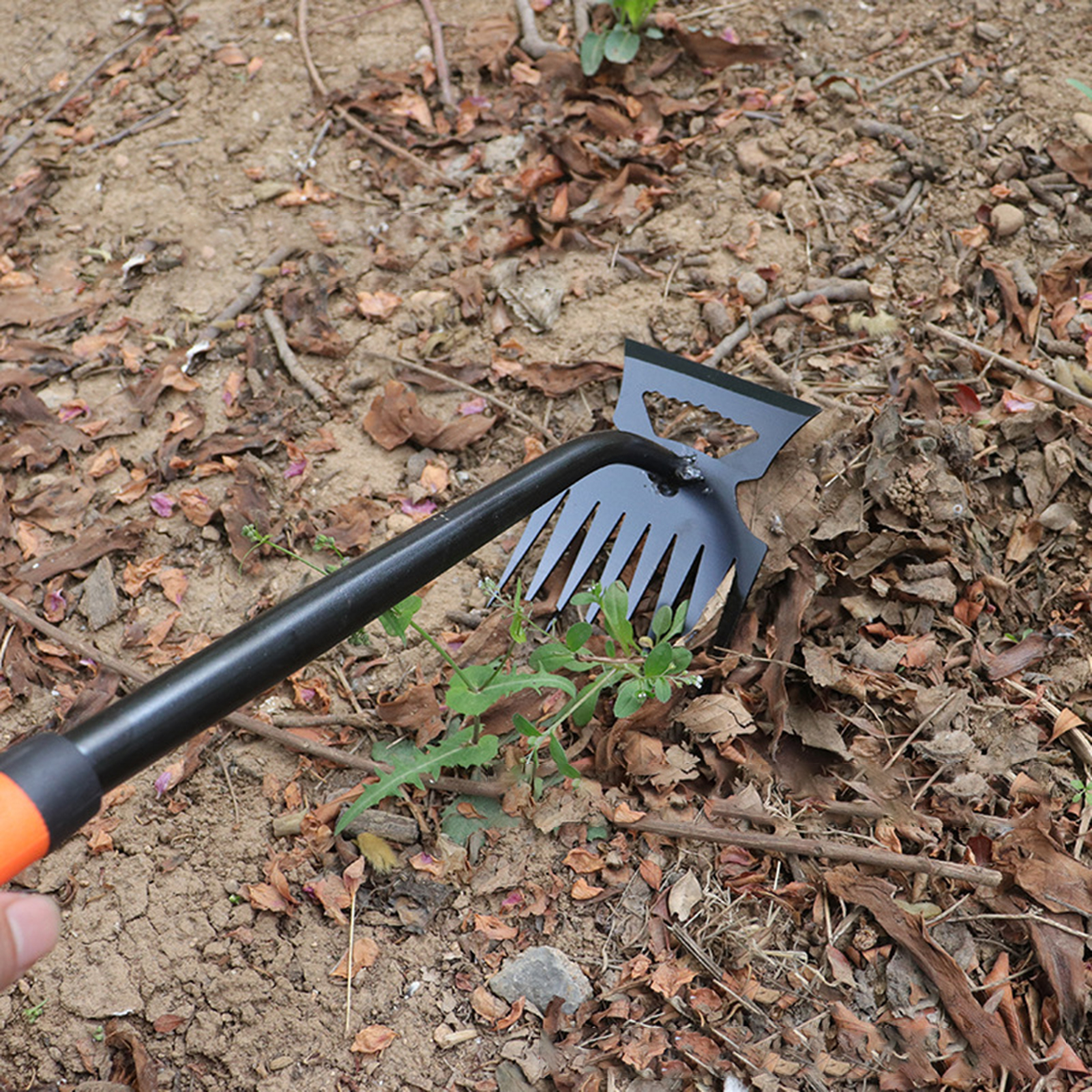 Multifunction Gardening Hoe Ra - مراجعة Gardening Tools Hoe وسعره
