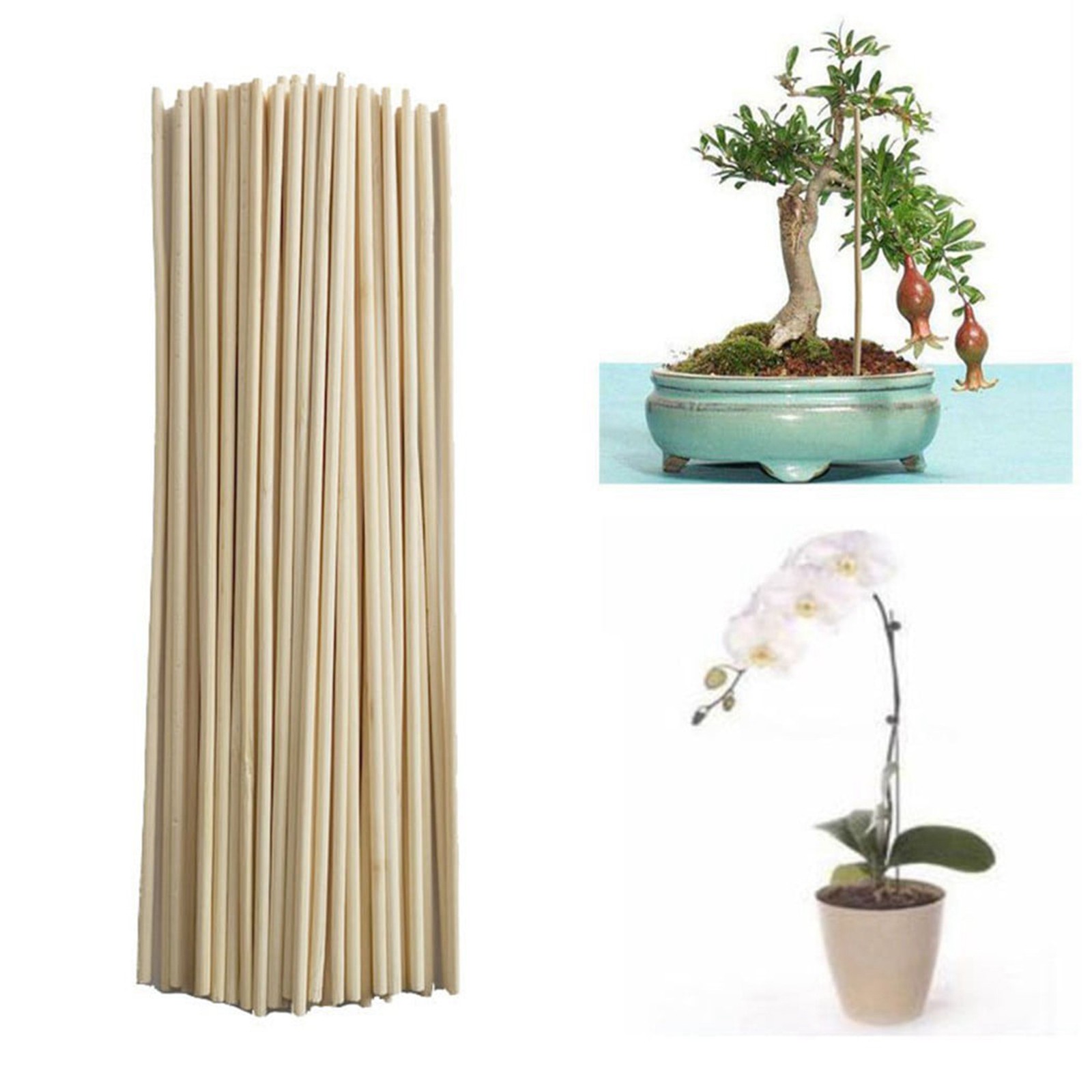 50PCS Bamboo Sticks Trellis St - مراجعة Gardening Tools Hoe وسعره