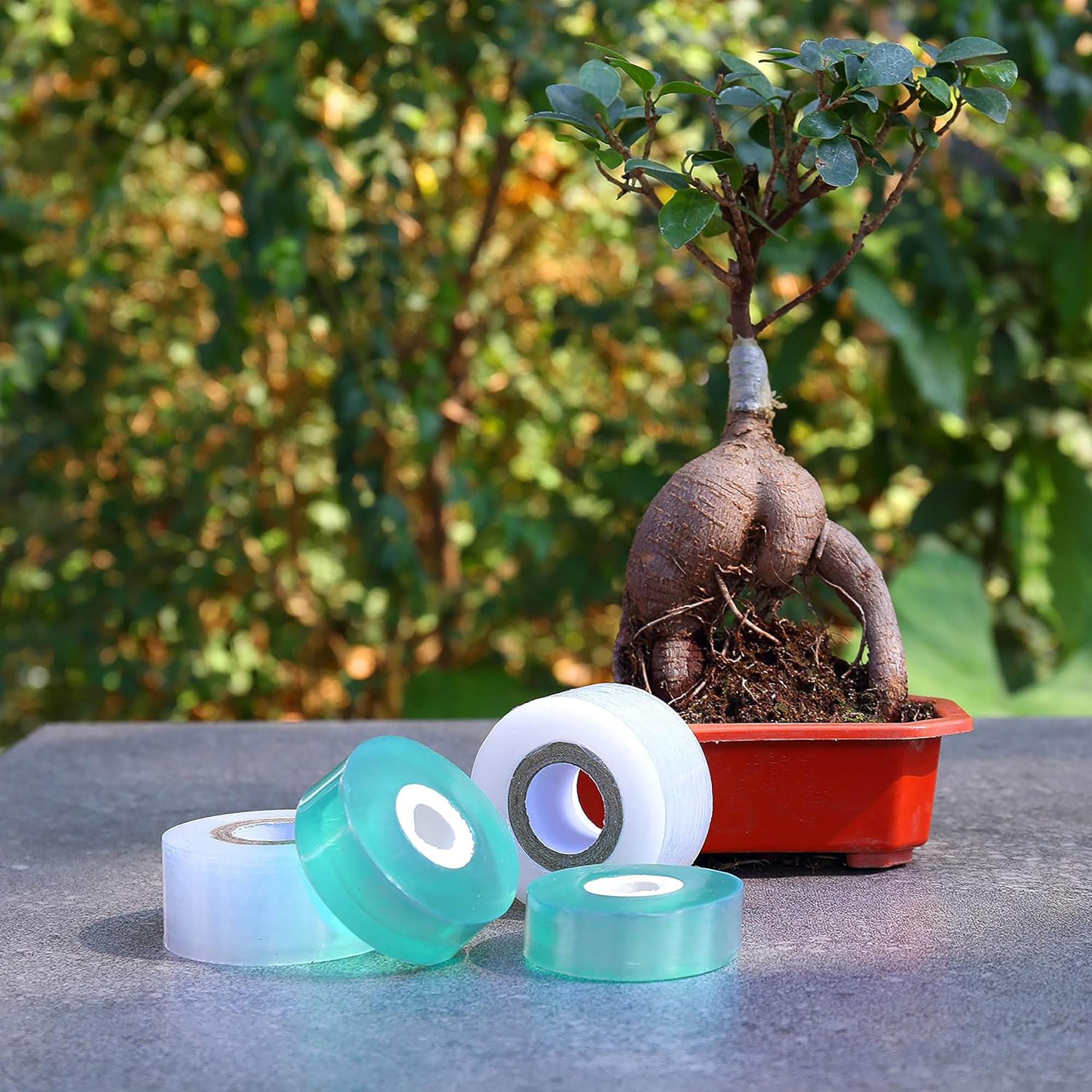 Easy Use Biodegradable Self Ad - مراجعة Gardening Tools Uses وسعره