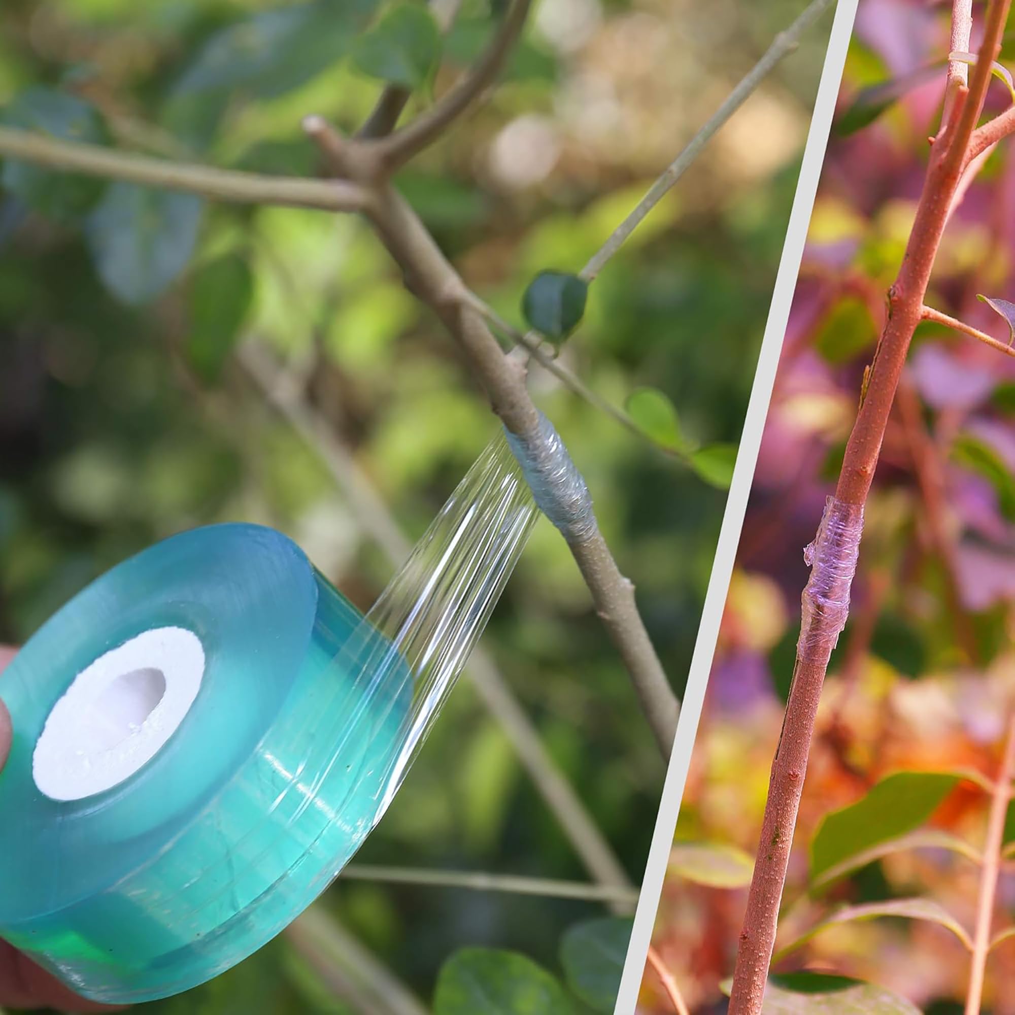 Easy Use Biodegradable Self Ad - مراجعة Gardening Tools Uses وسعره