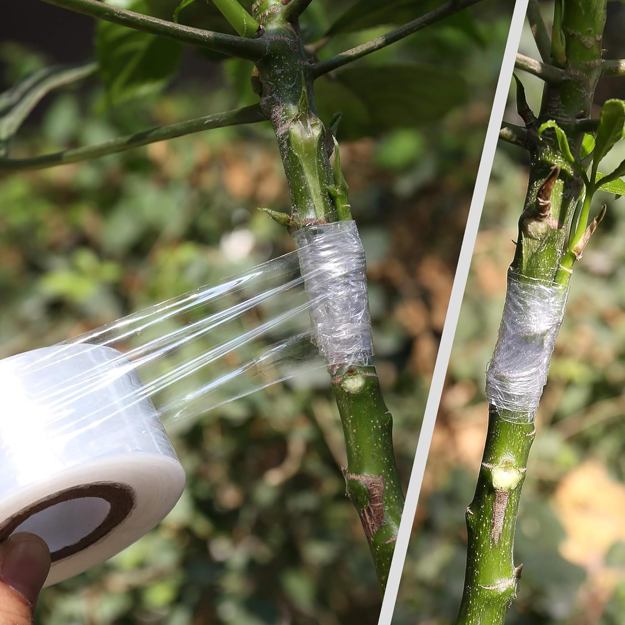 Easy Use Biodegradable Self Ad - مراجعة Gardening Tools Uses وسعره