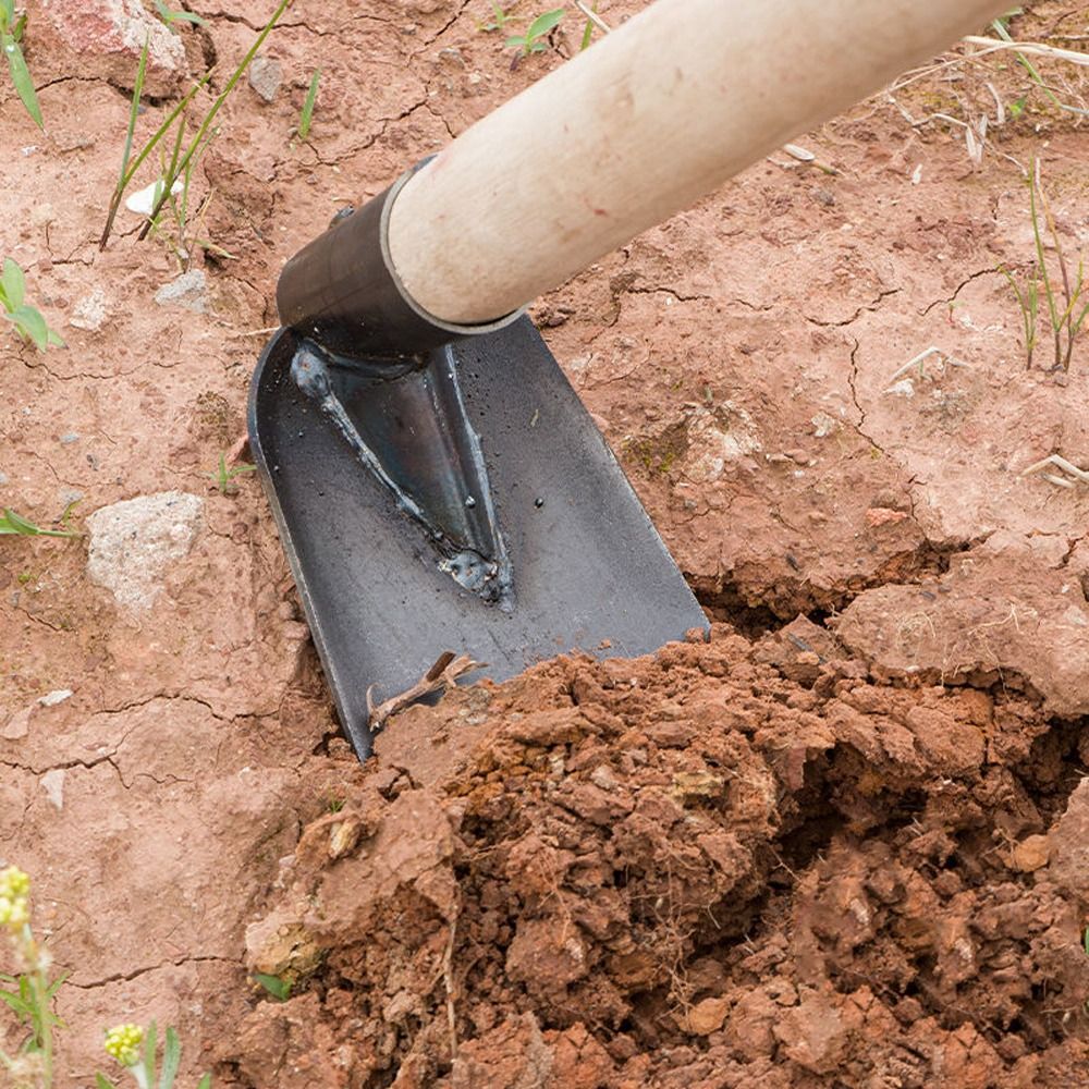 Agricultural Tools Manganese S - مراجعة Gardening Tools Hoe وسعره
