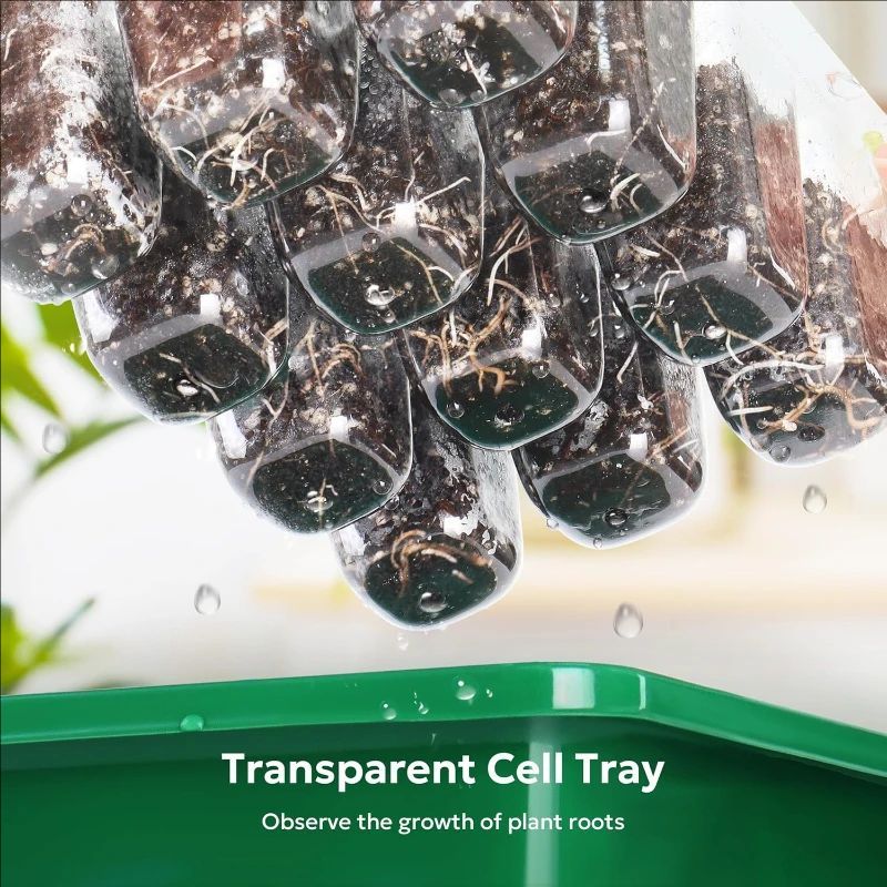 10pcs/5pcs Seedling Trays Seed - مراجعة Propagation Tray Dome وسعره