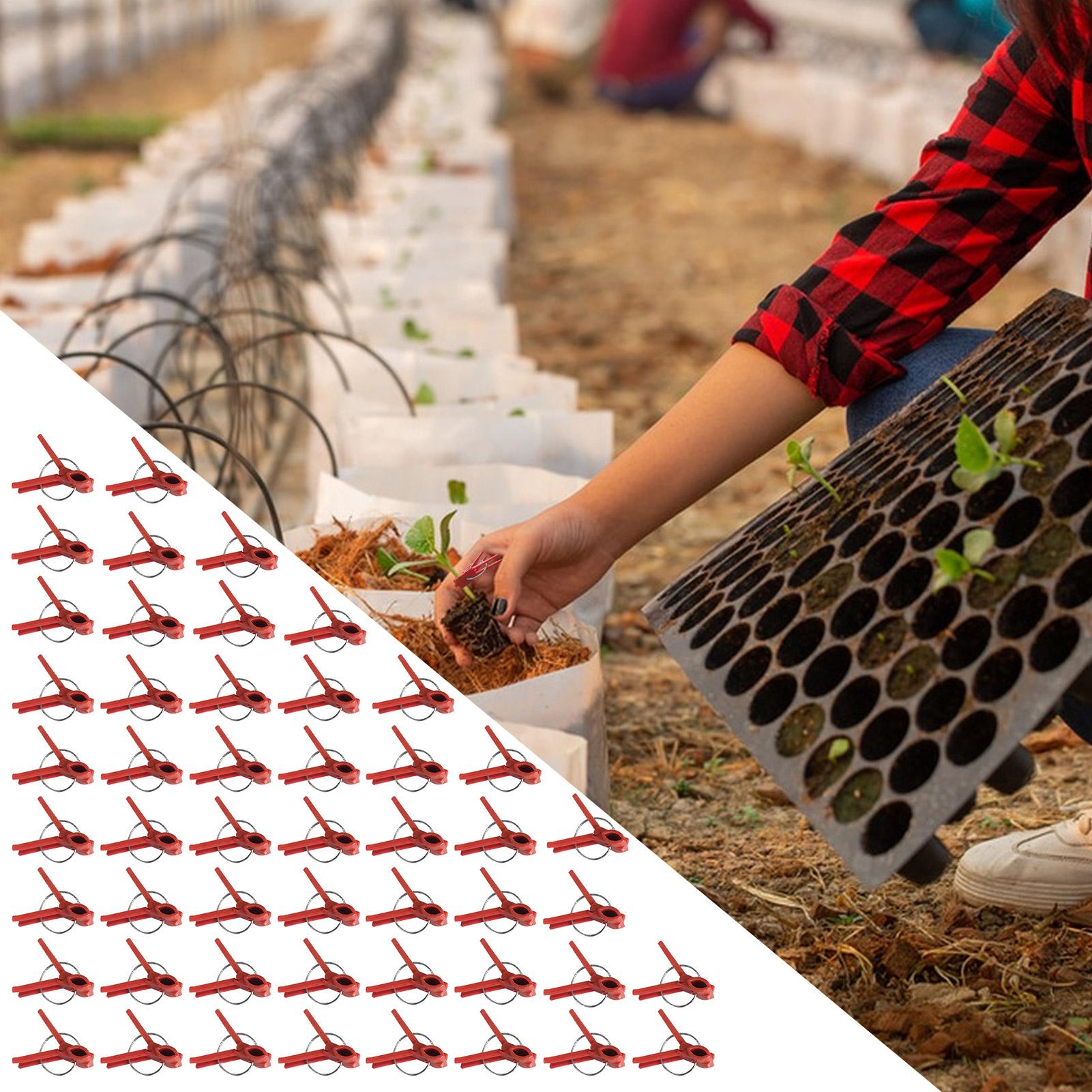 50Pcs Plant Grafting Clip Plas - مراجعة Gardening Tools Uses وسعره