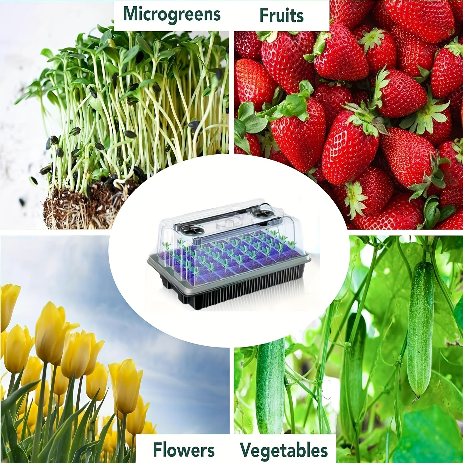 40/Cell Seed Starter Kit with  - مراجعة Propagation Tray Dome وسعره