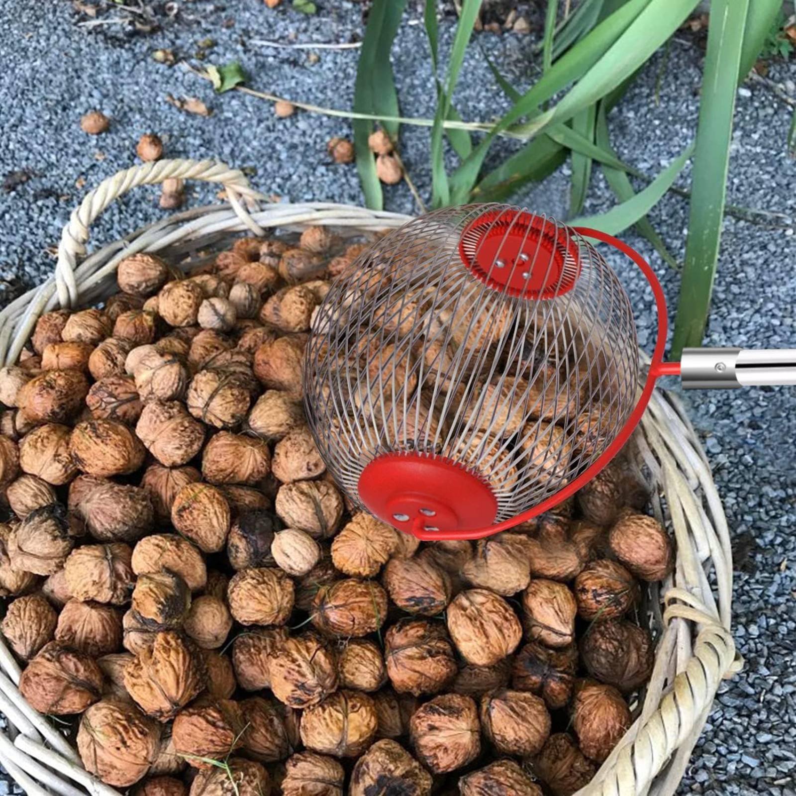 Chestnut Pickup Tool Easy to U - مراجعة Gardening Tools Uses وسعره