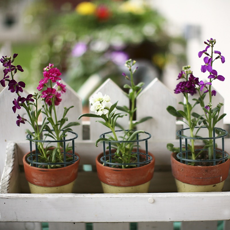 Plastic Plant Support Pile Fra - مراجعة Gardening Tools Hoe وسعره