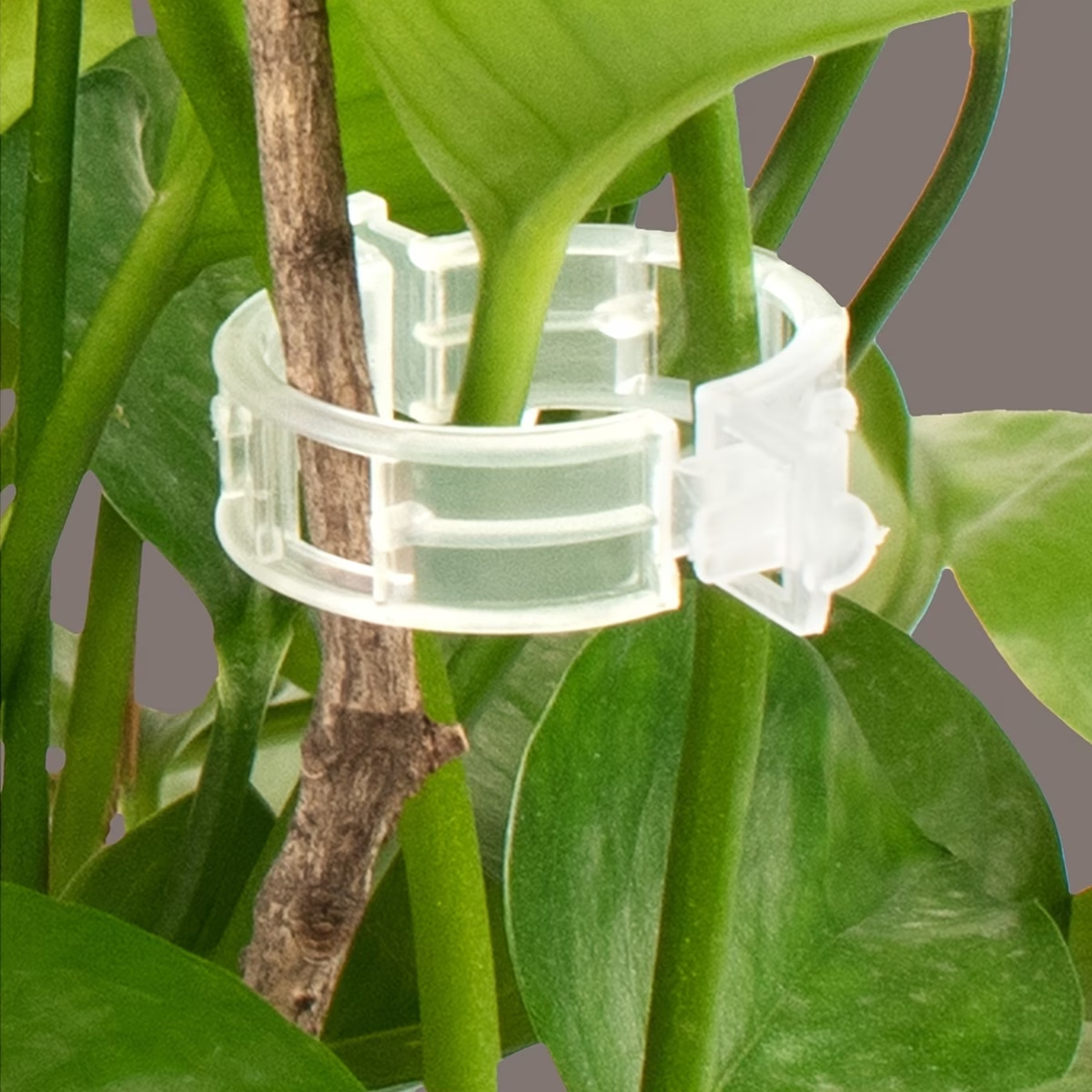 Wholesale Plant Support Clips  - مراجعة Gardening Tools Store وسعره