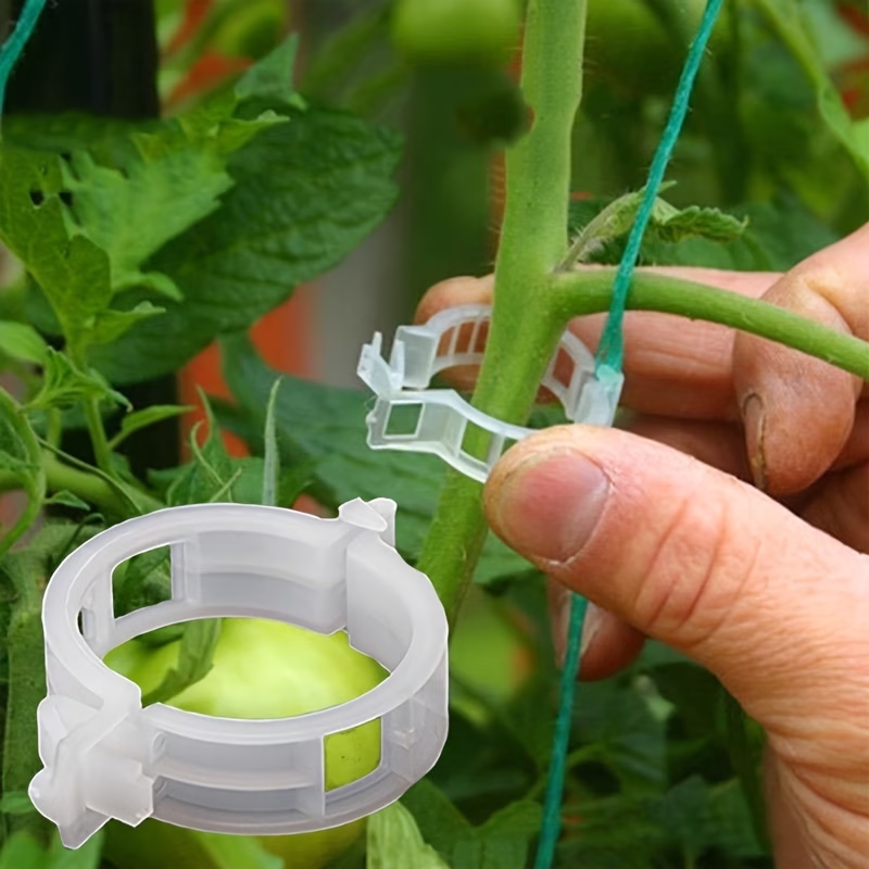Wholesale Plant Support Clips  - مراجعة Gardening Tools Store وسعره