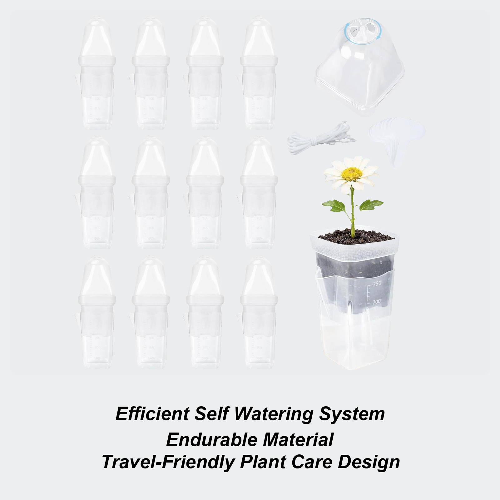 Self Watering Pots 12Pcs Seed  - مراجعة Propagation Tray Dome وسعره