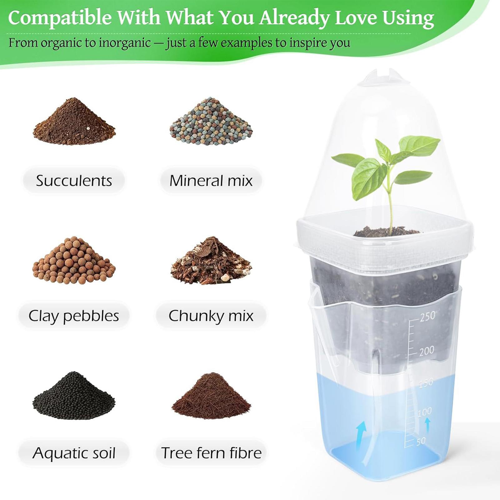 Self Watering Pots 12Pcs Seed  - مراجعة Propagation Tray Dome وسعره