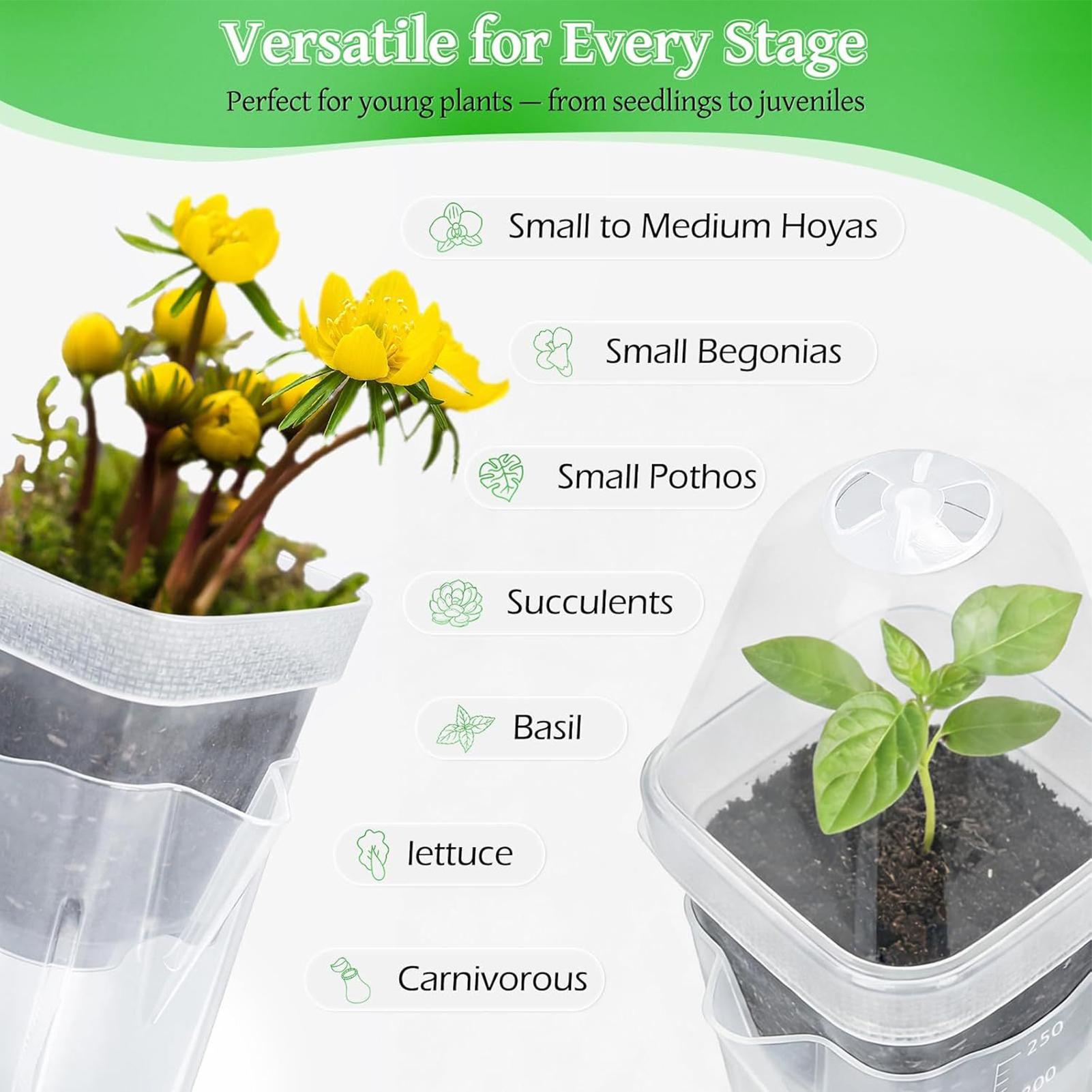 Self Watering Pots 12Pcs Seed  - مراجعة Propagation Tray Dome وسعره