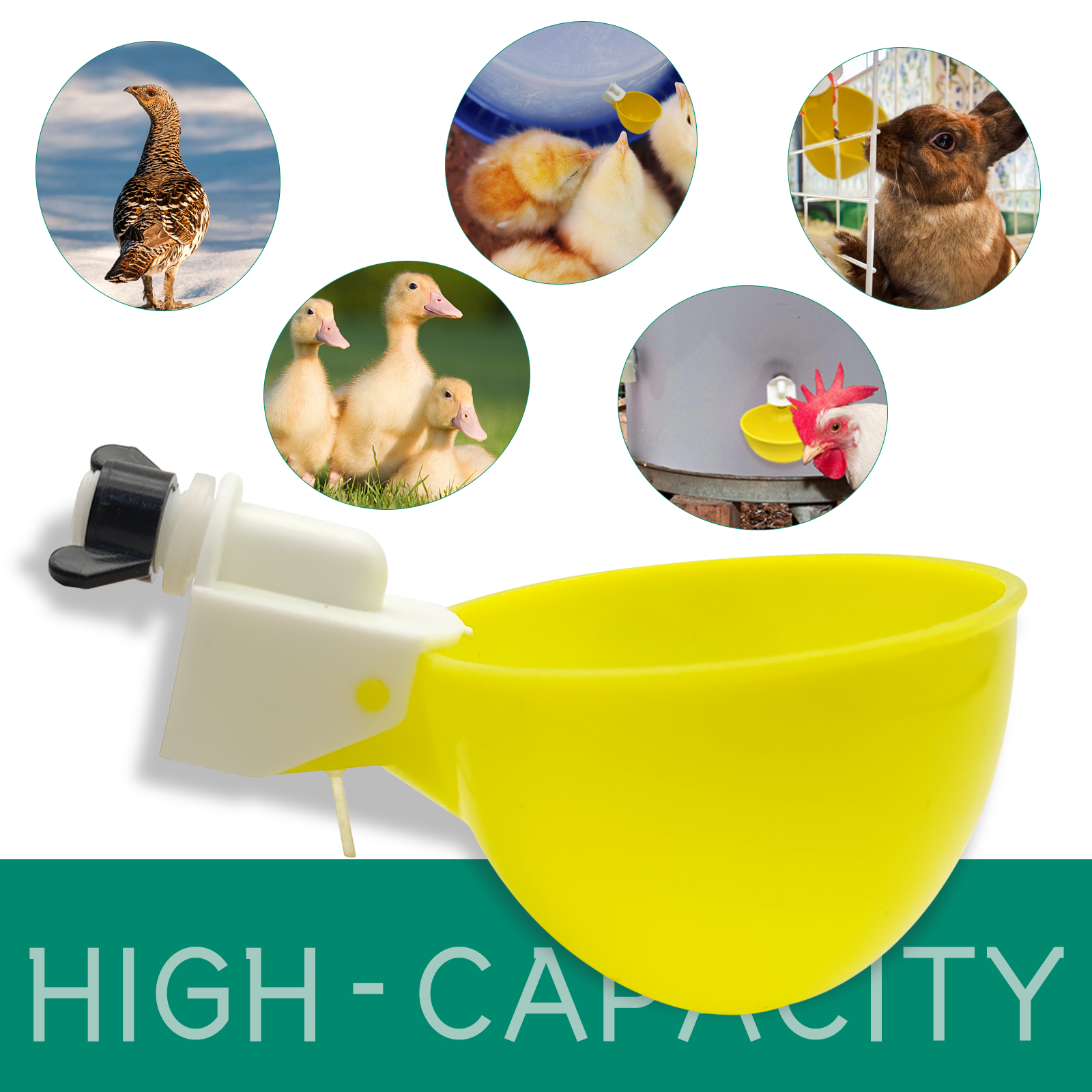 10PCS Chicken Drinker Cup Poul - مراجعة Fertilizer Dispenser وسعره