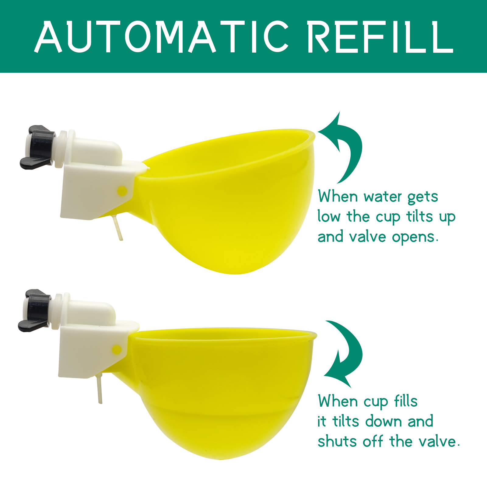 10PCS Chicken Drinker Cup Poul - مراجعة Fertilizer Dispenser وسعره