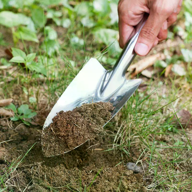 Stainless Steel Small Shovel P - مراجعة Gardening Tools Hoe وسعره