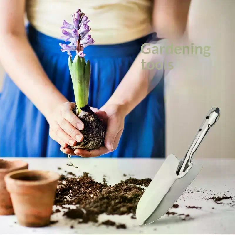 Stainless Steel Small Shovel P - مراجعة Gardening Tools Hoe وسعره
