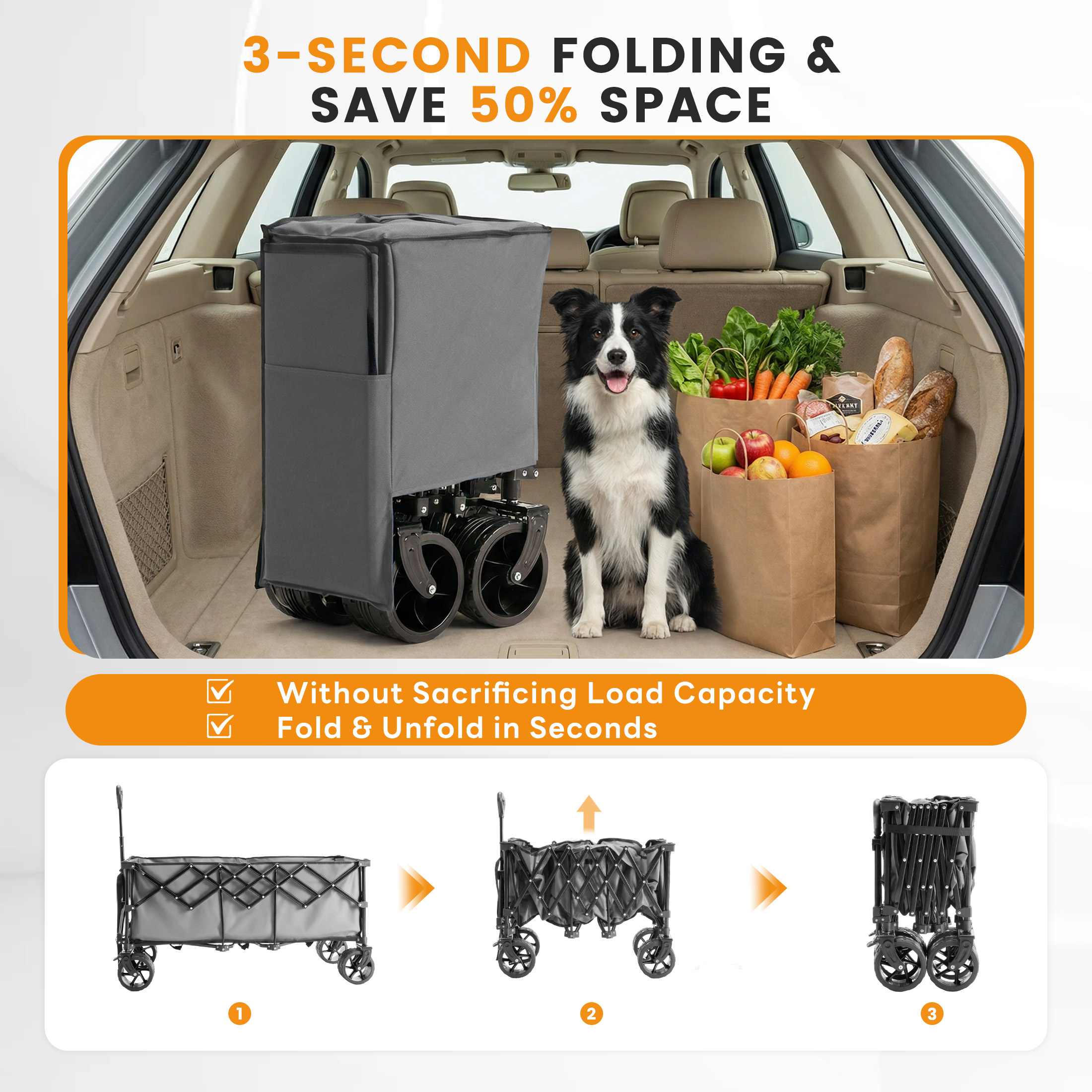 JHK Portable Extended Collapsi - مراجعة Gardening Tools Store وسعره