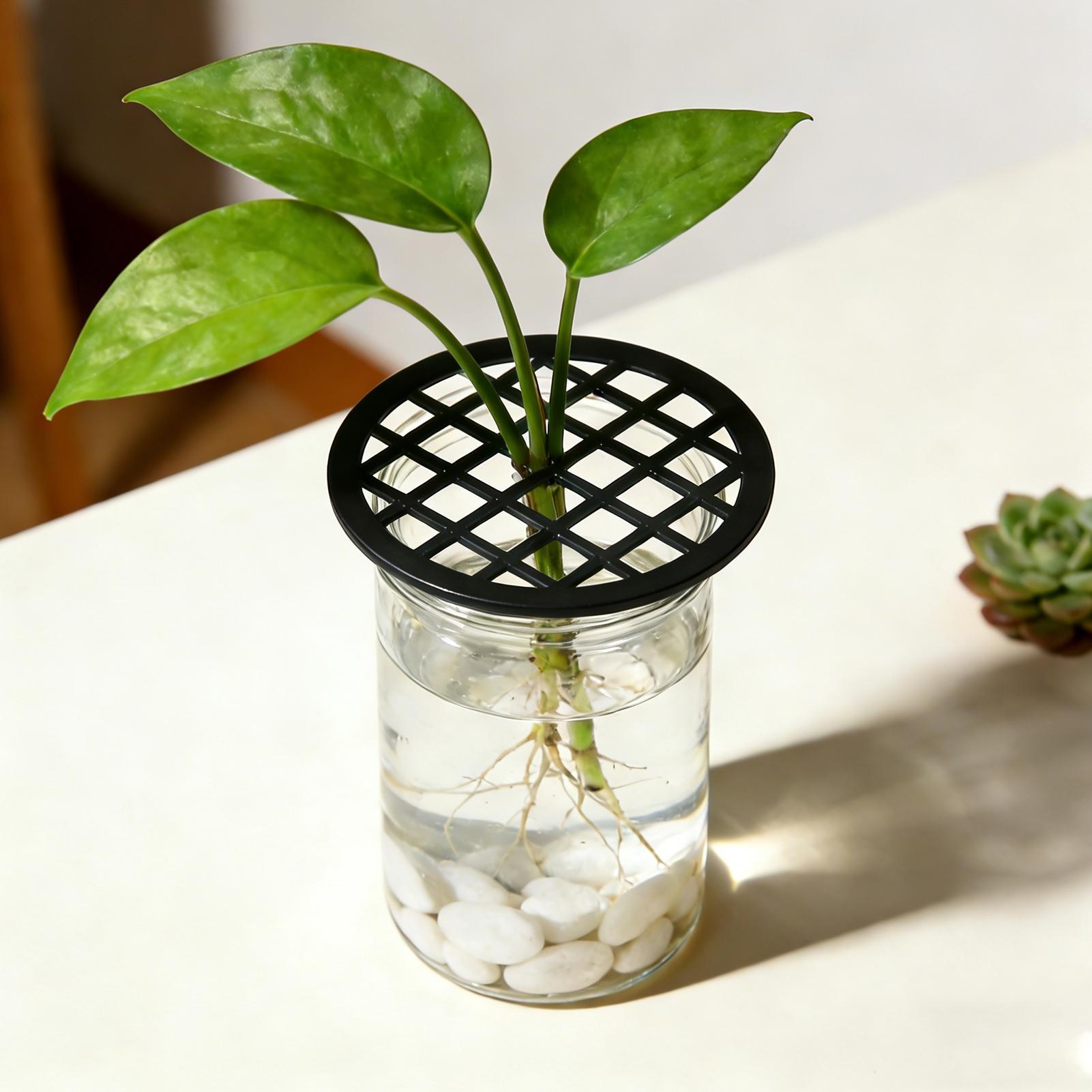 Plant Branch Support 4Pcs Gree - مراجعة Propagation Tray Dome وسعره