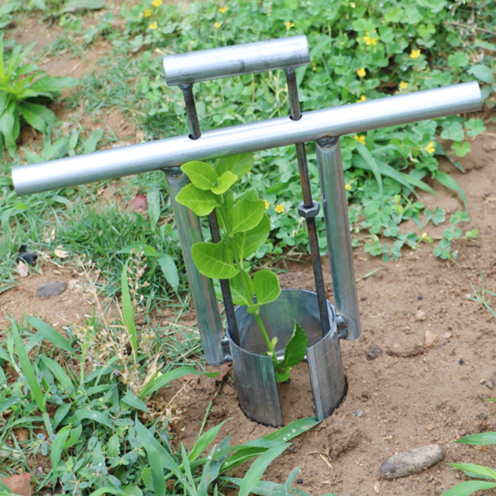 Handheld Tray Transplanter wit - مراجعة Gardening Tools Uses وسعره