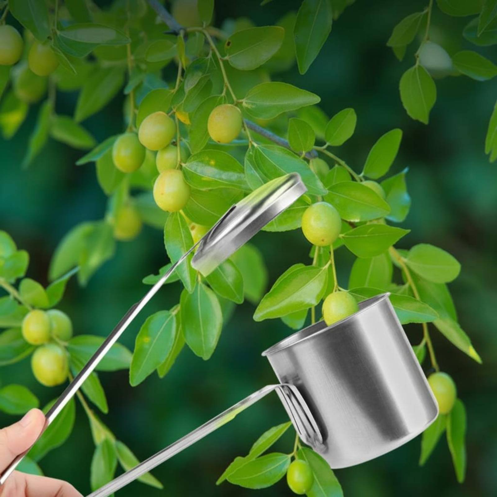 Cup Fruit Picker Stainless Ste - مراجعة Gardening Tools Uses وسعره