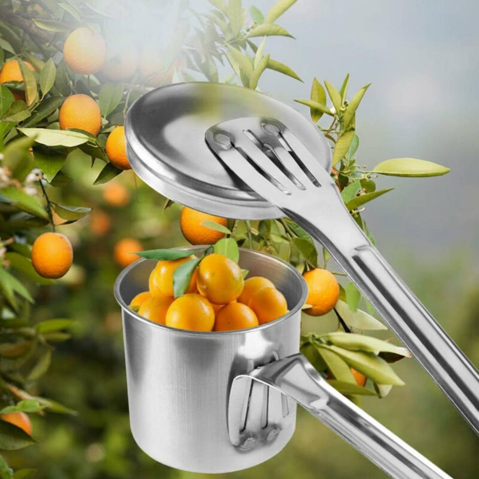 Cup Fruit Picker Stainless Ste - مراجعة Gardening Tools Uses وسعره