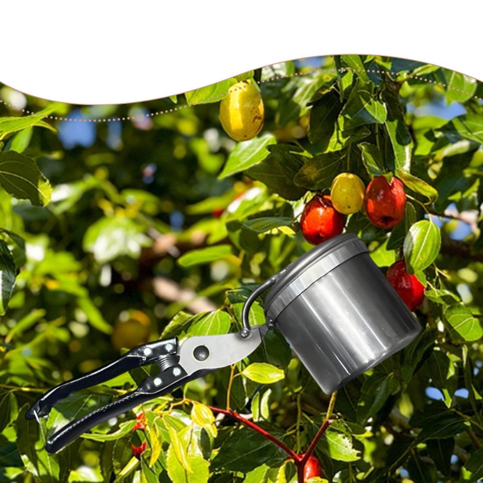 Fruit Picker, Easy to Use Port - مراجعة Gardening Tools Uses وسعره