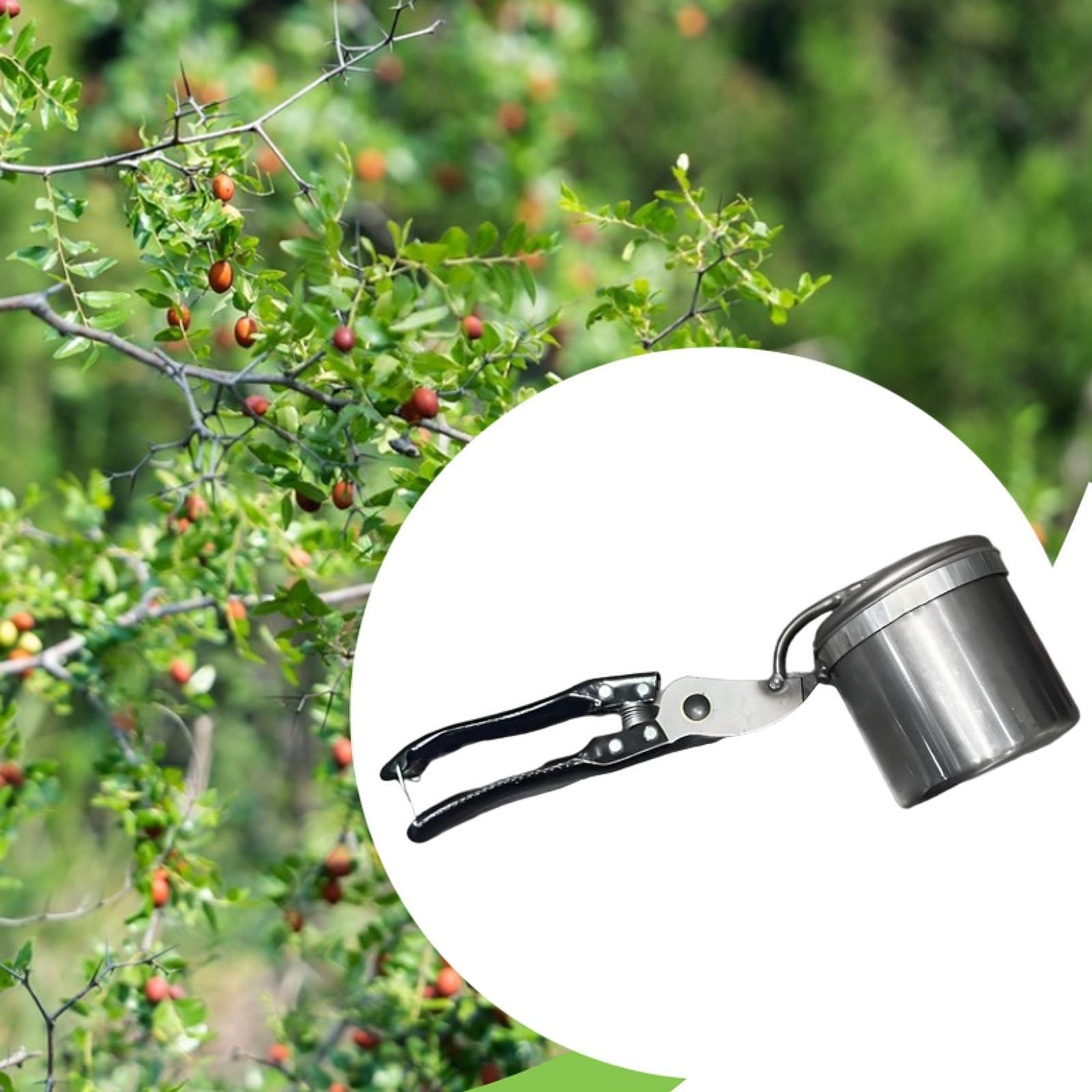 Fruit Picker, Easy to Use Port - مراجعة Gardening Tools Uses وسعره