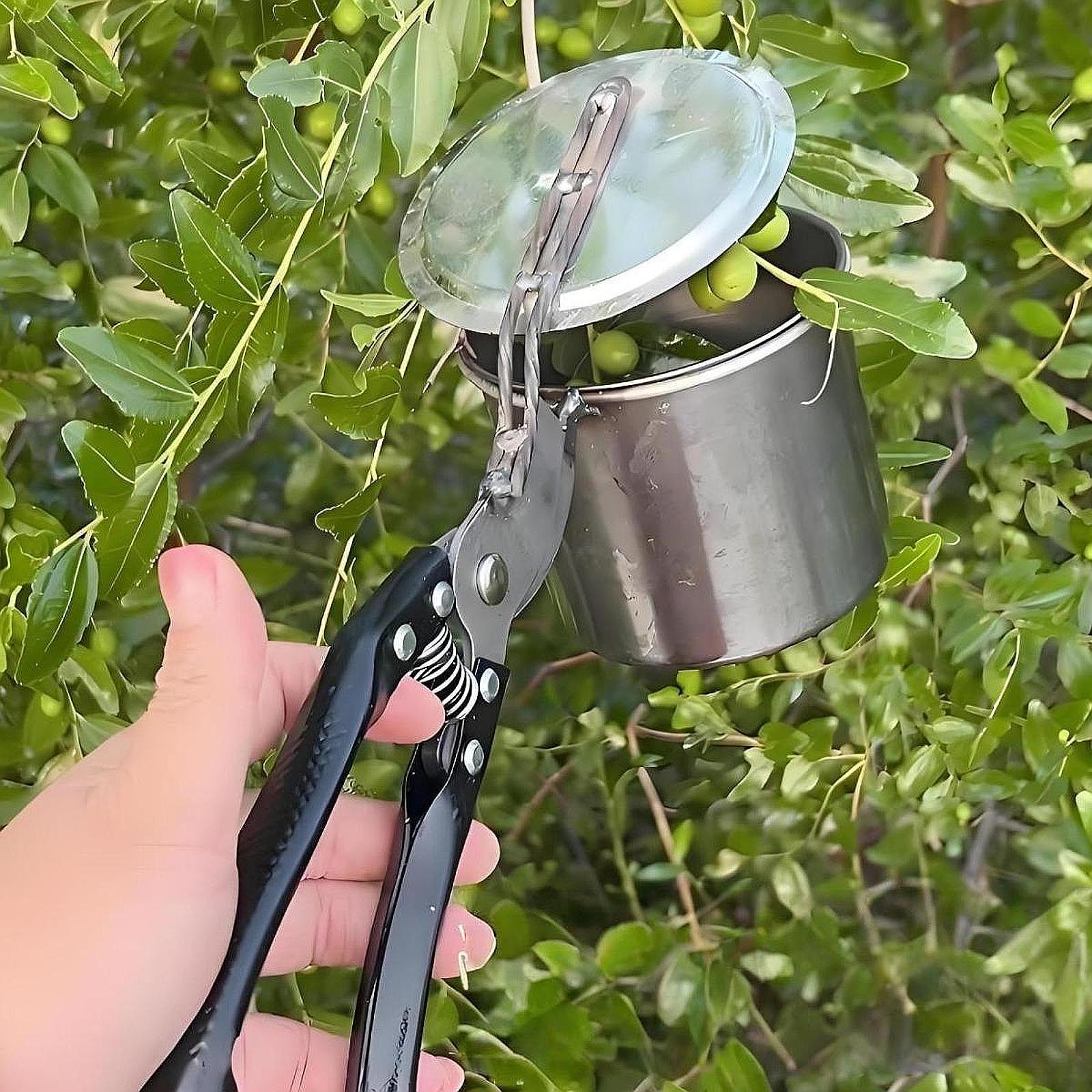Fruit Picker, Easy to Use Port - مراجعة Gardening Tools Uses وسعره