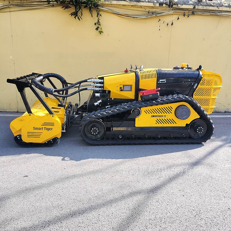 Intelligent Remote Control Cra - مراجعة Gardening Tools Store وسعره
